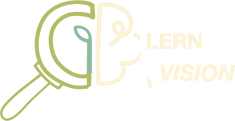 LernVision